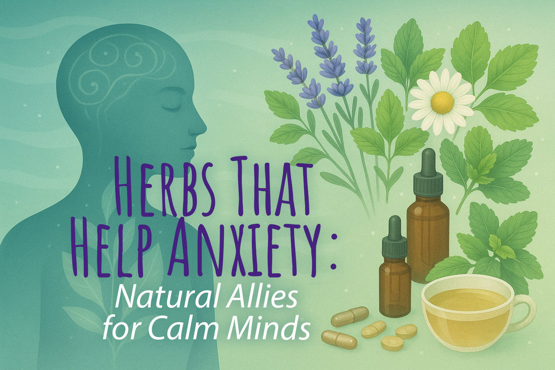 Herbs That Help Anxiety_Natural Allies for Calm Minds