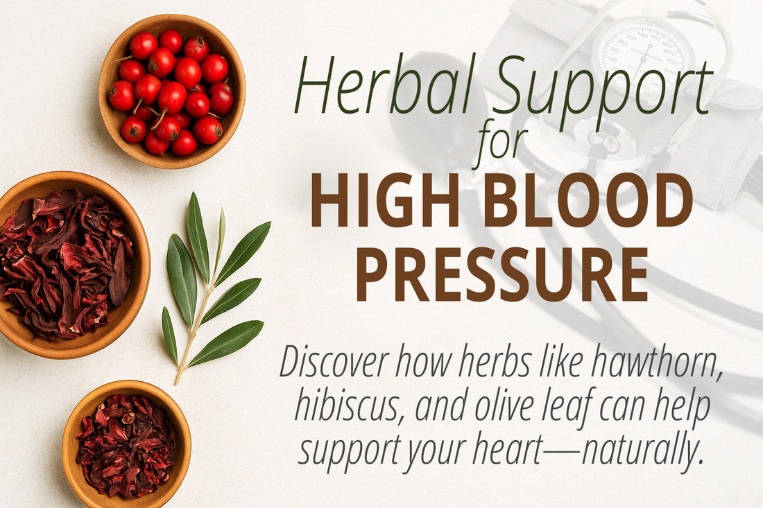 Herbal Support for High Blood Pressure Discover how herbs like hawthorn, hibiscus, and olive leaf can help support your heart—naturally.