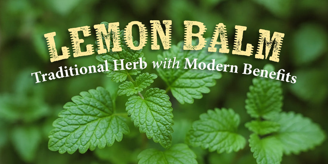 Lemon Balm: Traditional Herb with Modern Benefits
