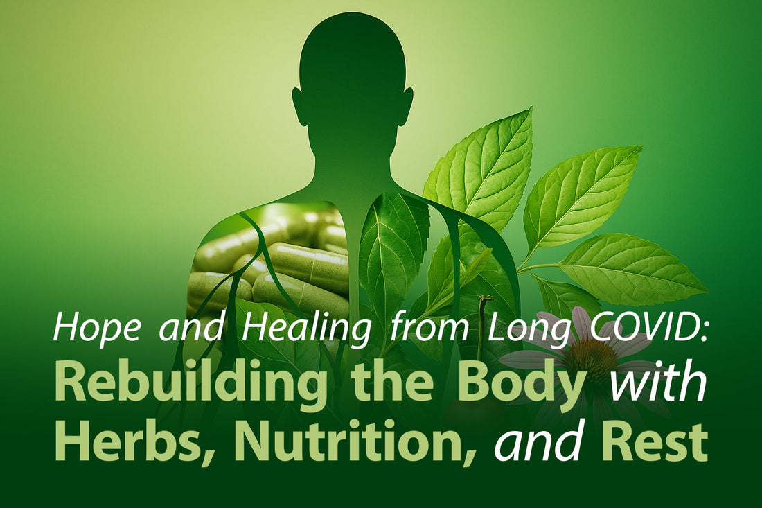 Hope and Healing from Long COVID: Rebuilding the Body with Herbs, Nutrition, and Rest