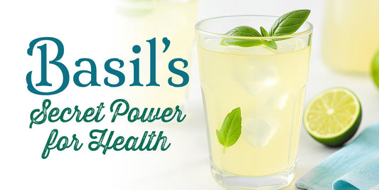 From Garnish to Guardian: Basil’s Secret Power for Health