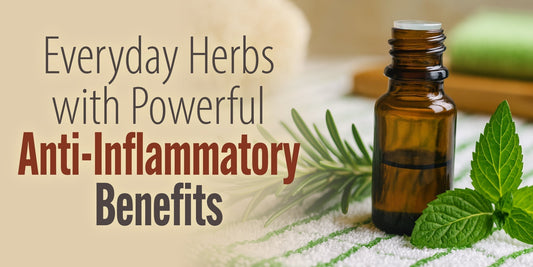 Everyday Herbs with Powerful Anti-Inflammatory Benefits