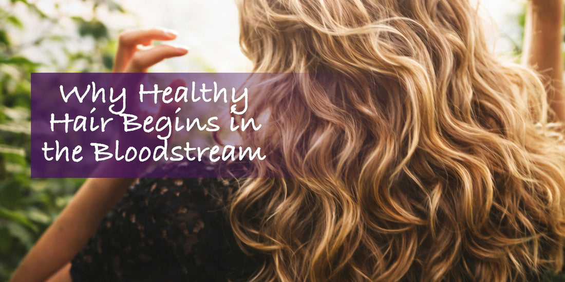 Why Healthy Hair Begins in the Bloodstream