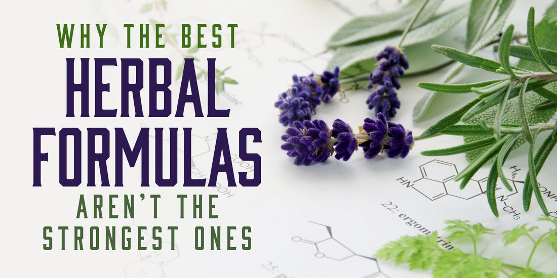 Full-Spectrum Healing: Why Herb Quality and Natural Variation Improve Herbal Effectiveness