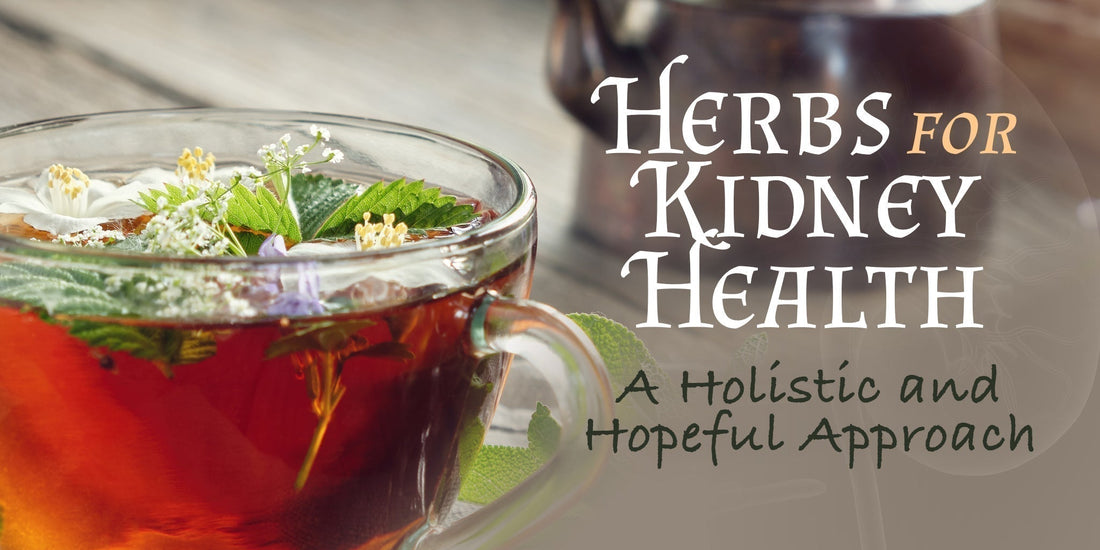Supporting Healthy Kidney Function with Traditional Herbs