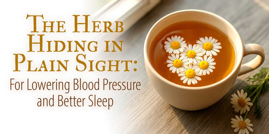 The Herb Hiding in Plain Sight: For Lowering Blood Pressure and Better Sleep