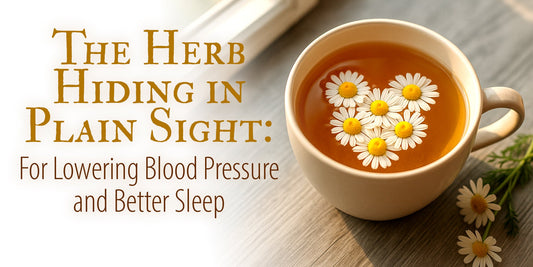 The Herb Hiding in Plain Sight: For Lowering Blood Pressure and Better Sleep