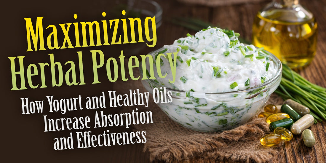 Maximizing Herbal Potency: How Yogurt and Healthy Oils Increase Absorption and Effectiveness