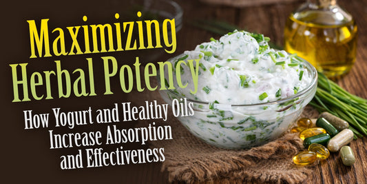 Maximizing Herbal Potency: How Yogurt and Healthy Oils Increase Absorption and Effectiveness